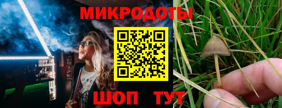 Галлюциногенные грибы Cubensis  Галлюциногенные грибы Magic Shrooms  наркотики  Семёнов  Вход с VPN 